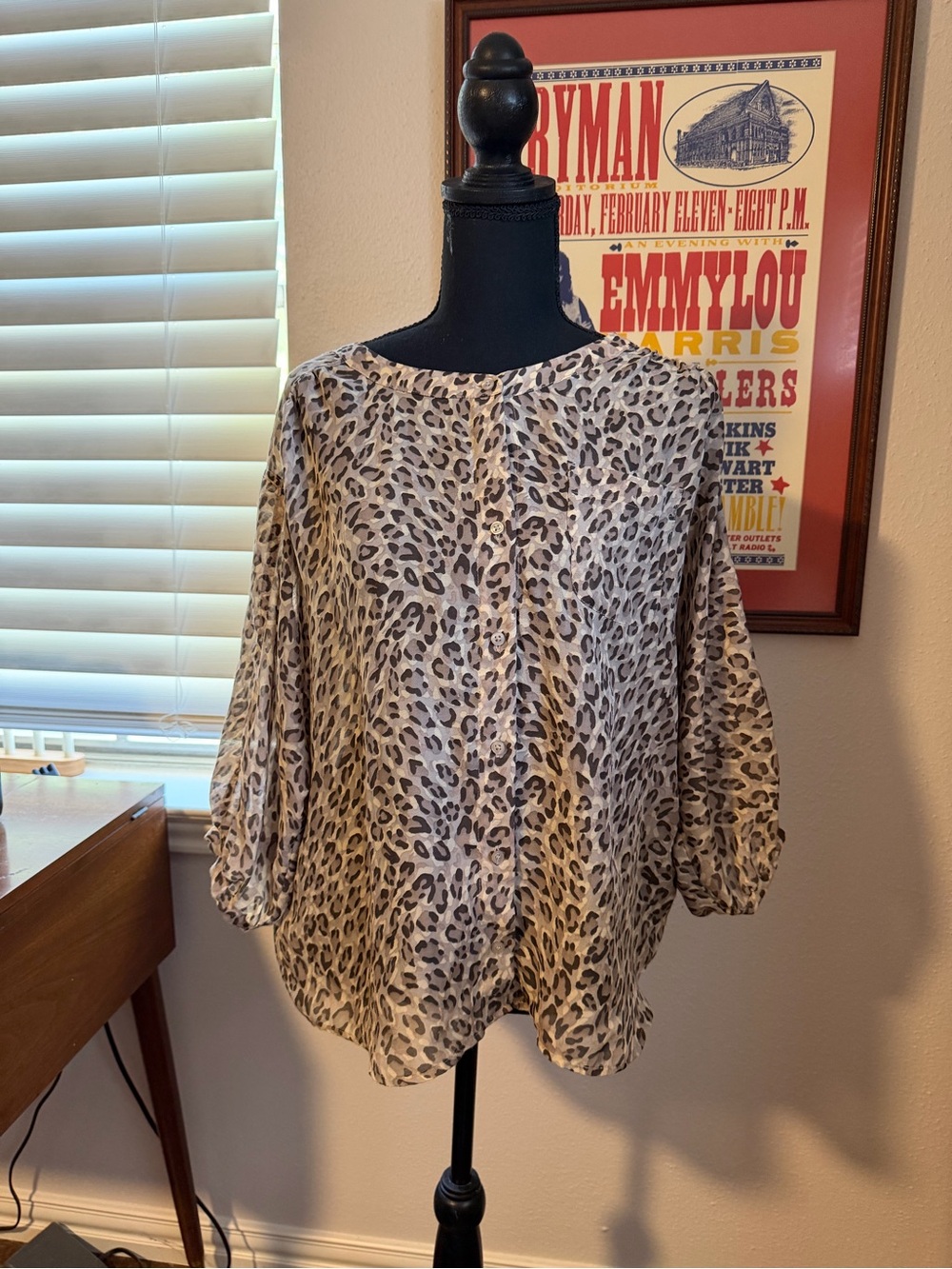 Leopard-Print Blouse